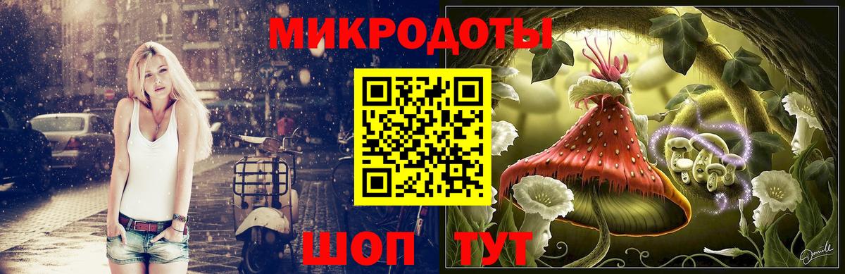 Псилоцибиновые грибы Psilocybe Амурск