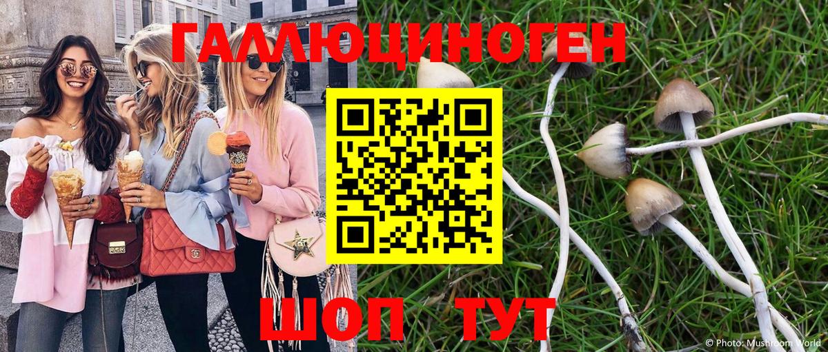 Галлюциногенные грибы ЛСД  Псилоцибиновые грибы Psilocybine cubensis  Амурск  Вход с VPN 